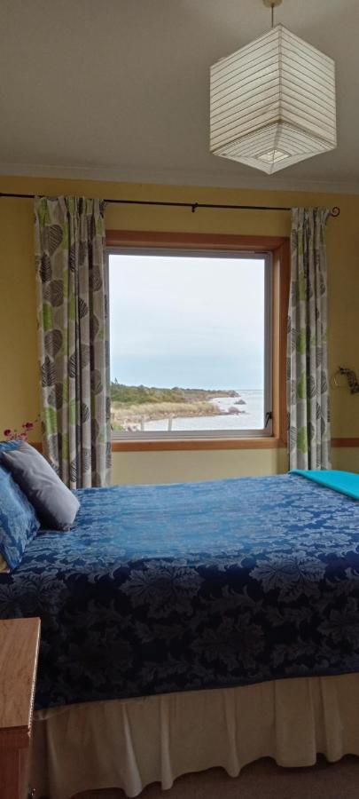 Surat Bay Lodge By The Sea/Backpackers Hostel Owaka Exterior foto
